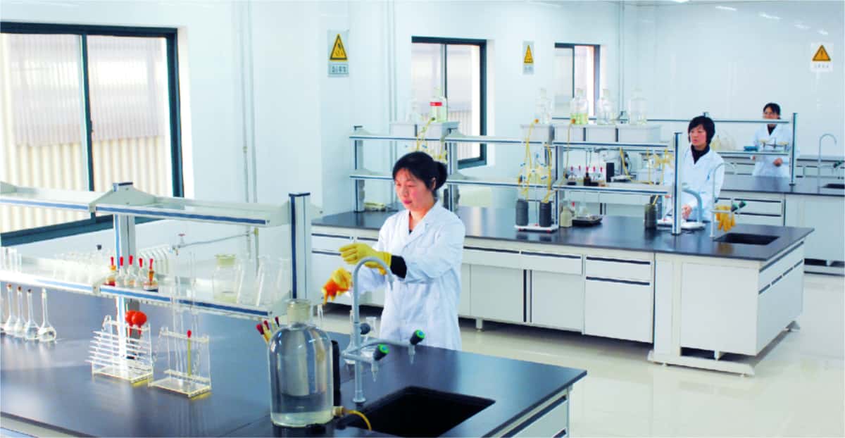 Chemical-analysis laboratory with technicians and wet-chemistry benches.